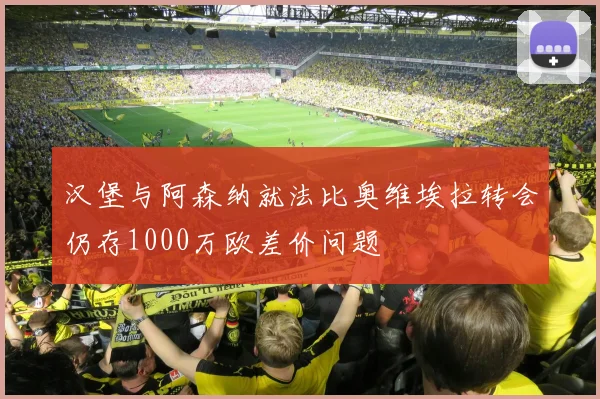 汉堡与阿森纳就法比奥维埃拉转会仍存1000万欧差价问题